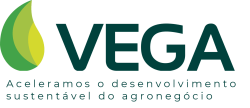 vega positivo com tagline